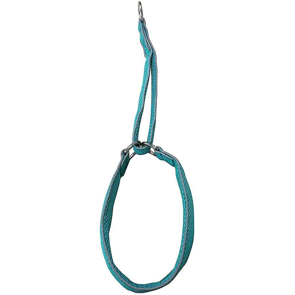 Foto 3 pulgar | Collar Para Perros Pet Cuisine De Malla Reflectante De Doble Capa - Venta Internacional.