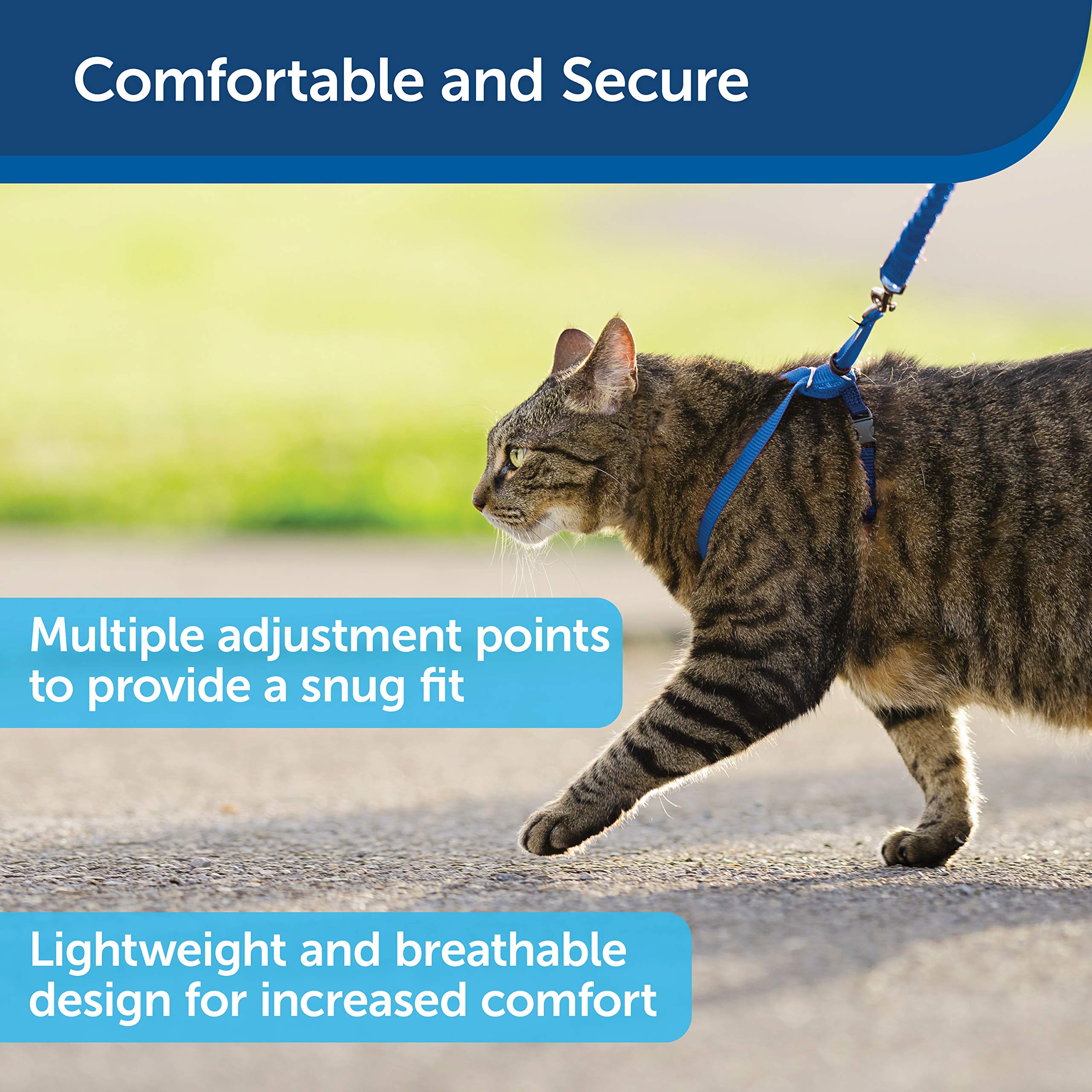 Foto 4 pulgar | Arnés Y Correa Elástica Para Gatos Petsafe Come With Me Kitty - Venta Internacional.