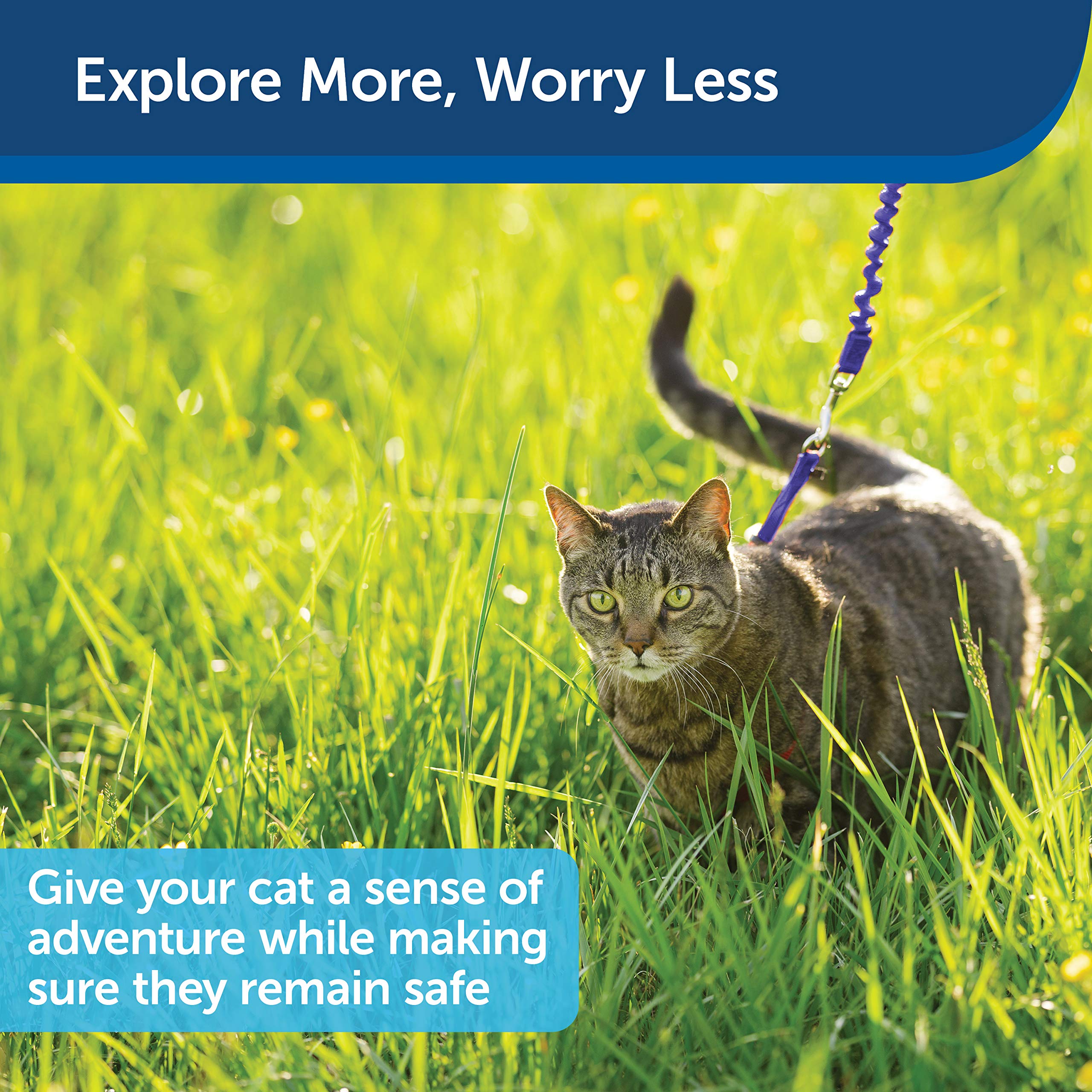 Foto 5 | Arnés Y Correa Elástica Para Gatos Petsafe Come With Me Kitty - Venta Internacional.