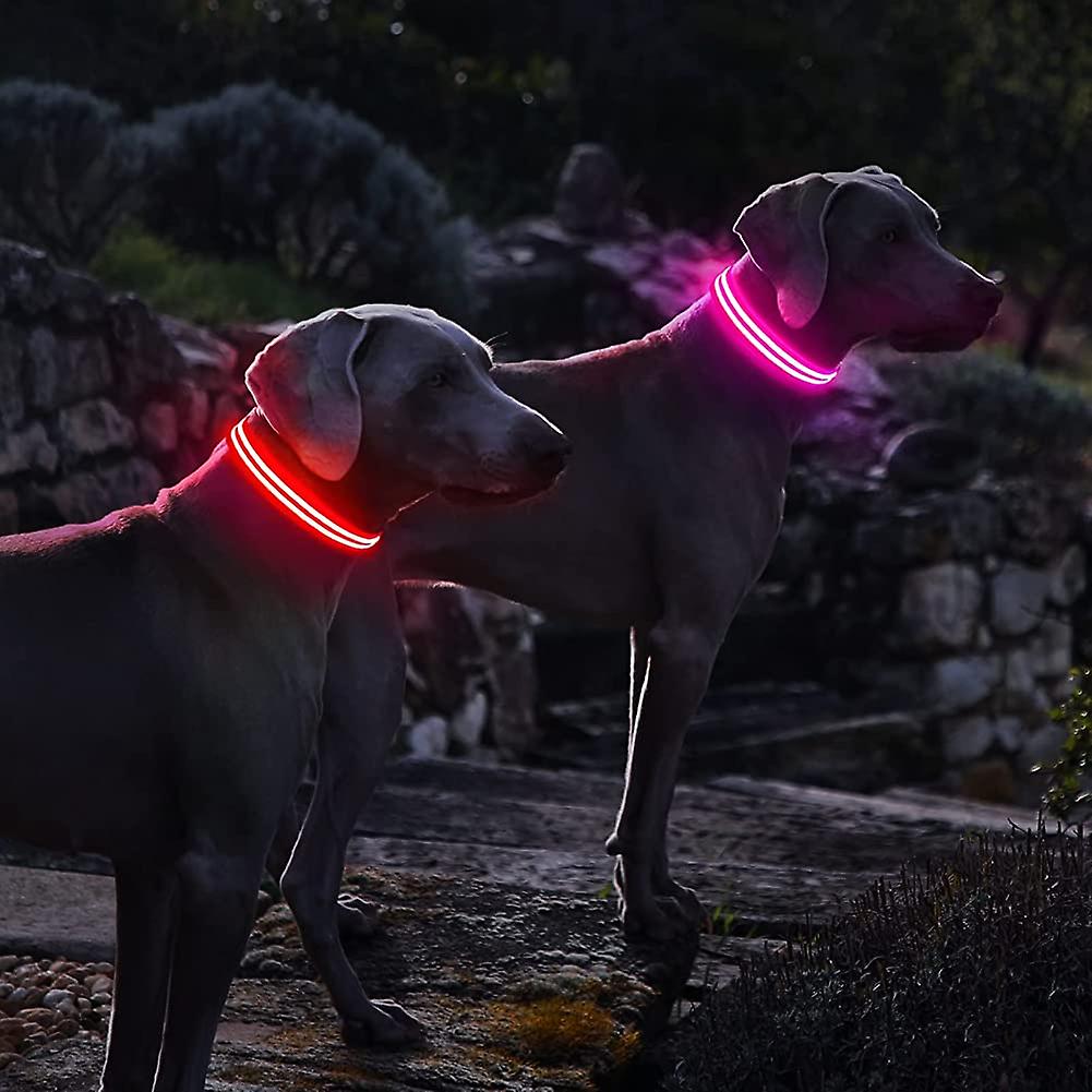 Collar Para Perro Light Up Huoguo, Recargable Por Usb, Resistente Al Agua - Venta Internacional.