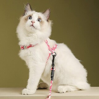 Foto 1 | Arnés Para Gatos Huoguo, 140 Cm, Estampado De Flores Con Correa - Venta Internacional.