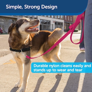 Foto 4 | Correa Para Perros Petsafe De Nailon, Resistente Y Duradera, 3/4 X 6 Pies Para Raspberry Pi - Venta Internacional.