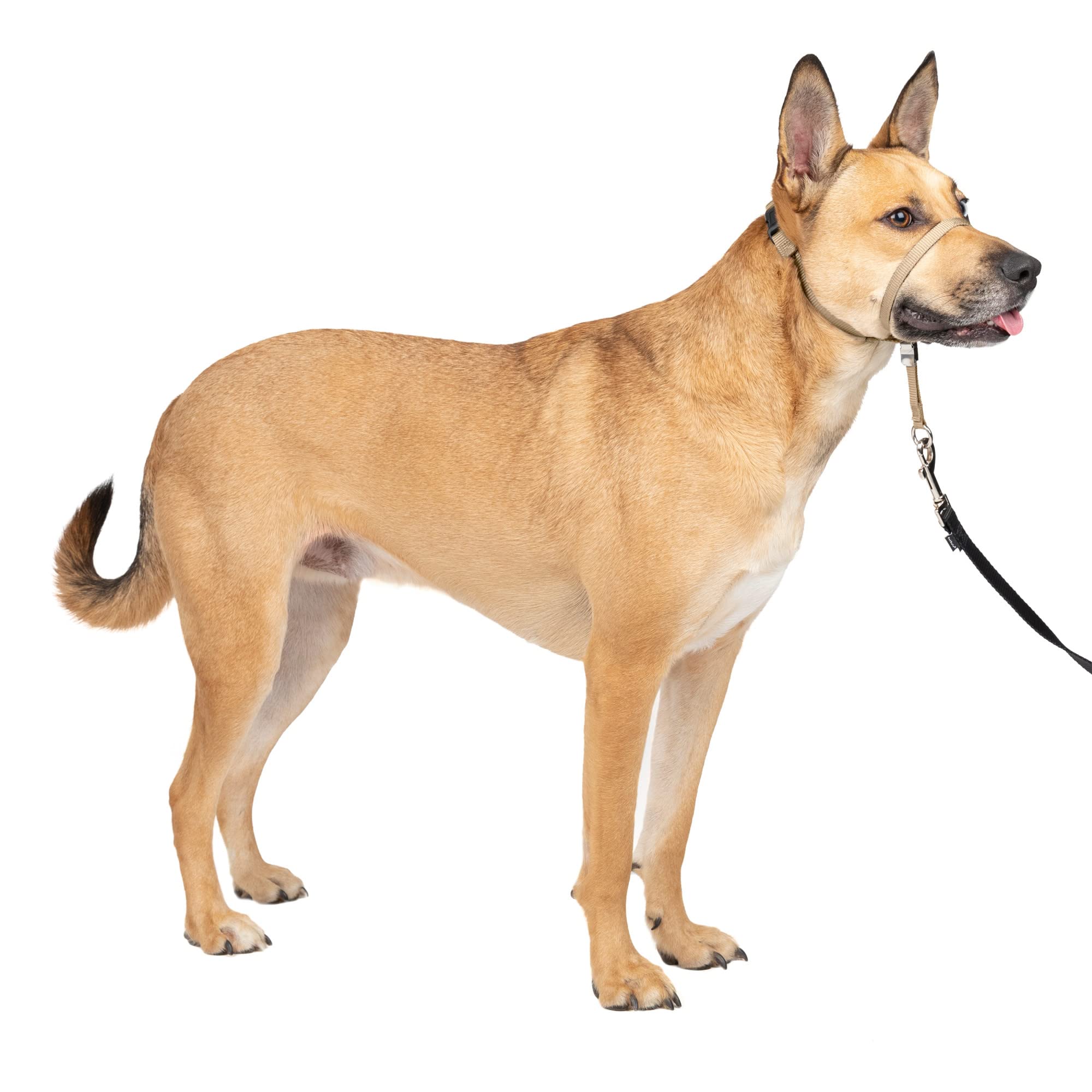 Collar Para Perro Petsafe Gentle Leader, Sin Tirones, Tamaño Mediano - Venta Internacional.