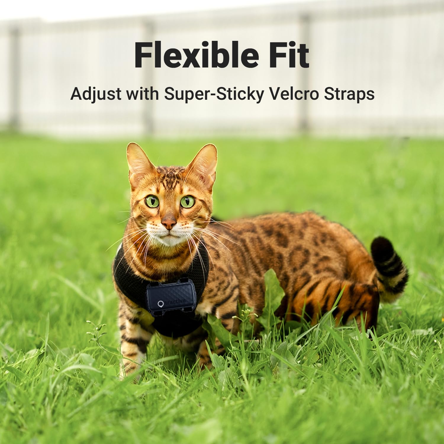 Foto 4 pulgar | Arnés Gps Tractive Gps para Gato - Venta Internacional