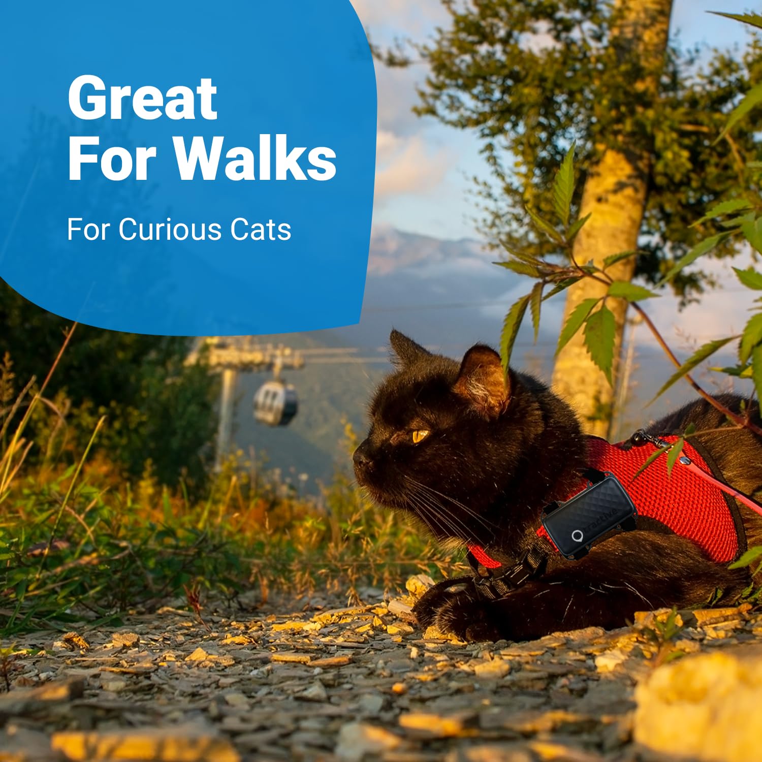 Foto 5 | Arnés Gps Tractive Gps para Gato - Venta Internacional