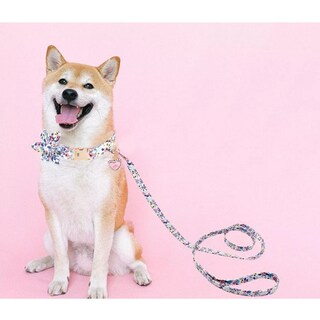 Foto 3 | Collar Para Mascotas De Algodón Para Perro Talla L Eo Safe Imports Esi-14175-1 Azul