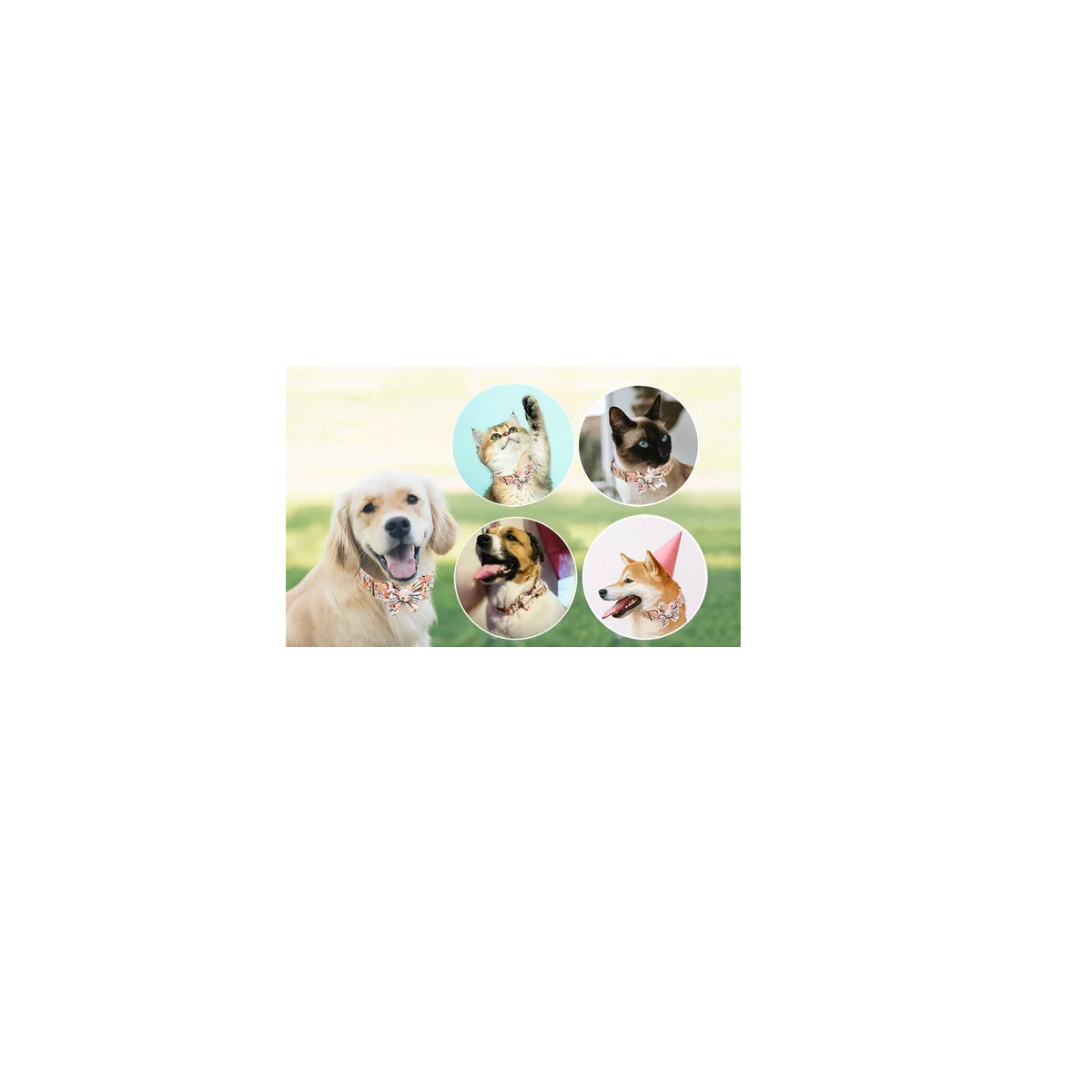 Foto 4 pulgar | Collar Para Mascotas De Algodón Puro Transpirable Para Perro Talla M Eo Safe Imports Esi-14177-1 Multicolor