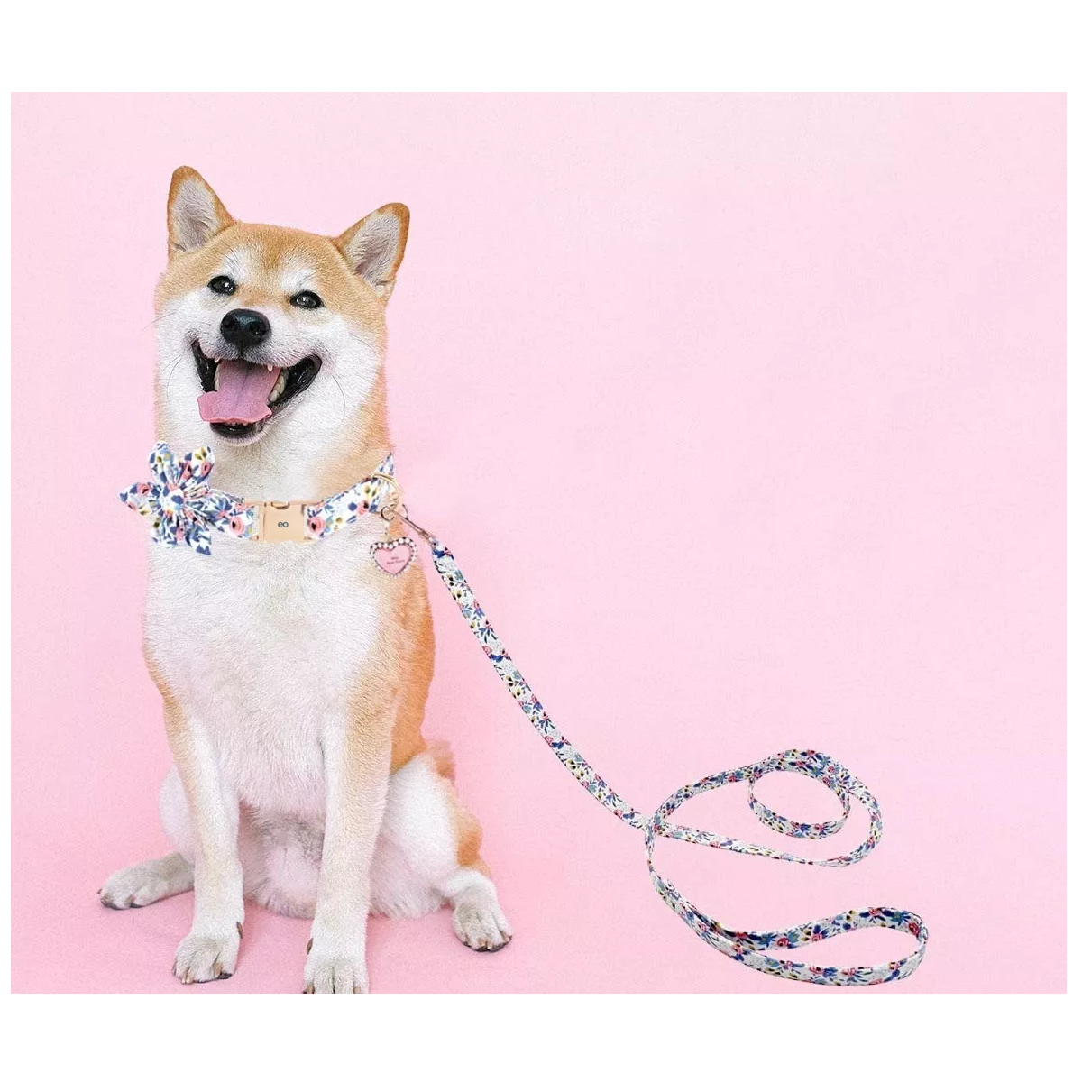 Foto 4 pulgar | Collar para Perro Talla M Eo Safe Imports ESI-14174 Multicolor de Algodón