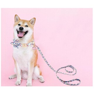 Foto 3 | Collar para Perro Talla M Eo Safe Imports ESI-14174 Multicolor de Algodón