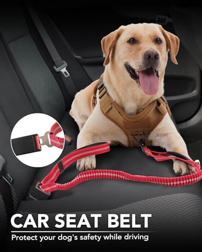 Foto 6 pulgar | Correa Táctica Para Perros Joytale, Resistente, Absorbe Los Golpes, Roja - Venta Internacional.
