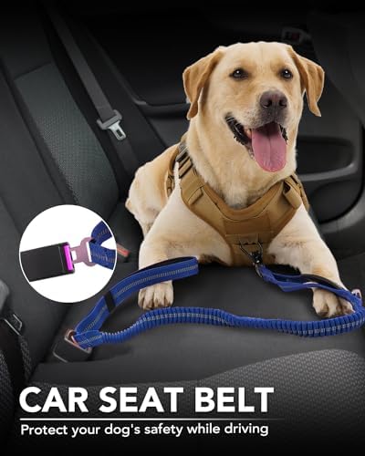 Foto 6 pulgar | Correa Táctica Para Perros Joytale, Resistente, Absorbe Los Golpes, Azul Marino - Venta Internacional.