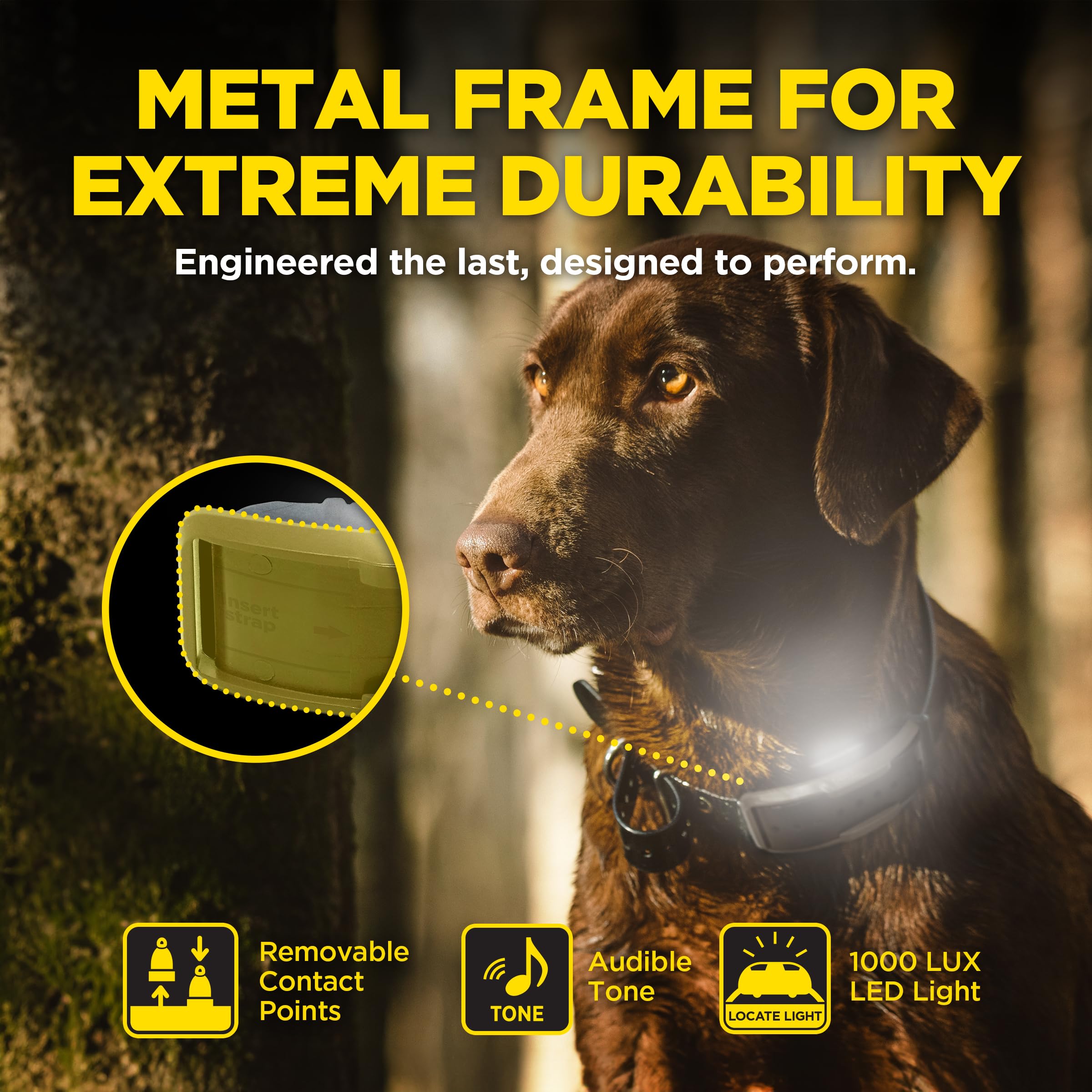 Foto 4 pulgar | Collar Electrónico Dogtra 1900x Con Mando A Distancia Para Perros De 16 Kg O Más De 1200 M De Alcance - Venta Inte
