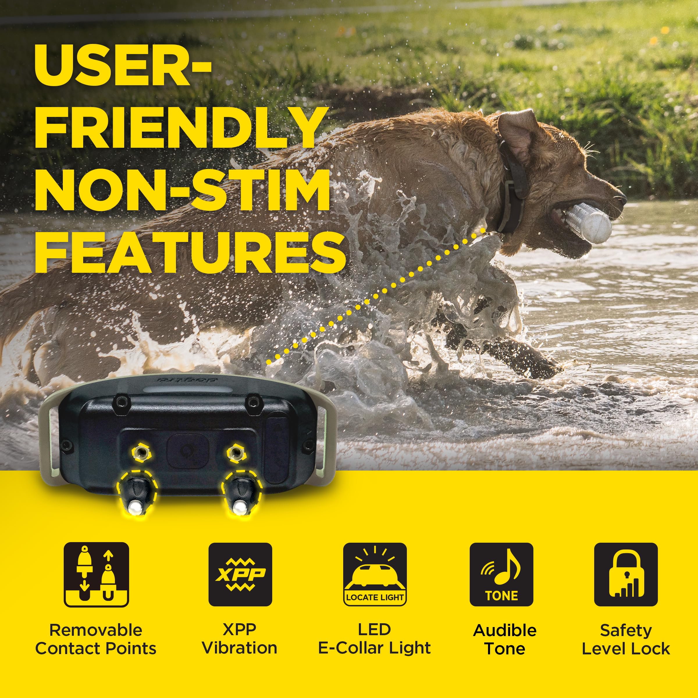 Foto 5 | Collar Electrónico Dogtra 1900x Con Mando A Distancia Para Perros De 16 Kg O Más De 1200 M De Alcance - Venta Inte