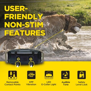 Foto 5 | Collar Electrónico Dogtra 1900x Con Mando A Distancia Para Perros De 16 Kg O Más De 1200 M De Alcance - Venta Inte