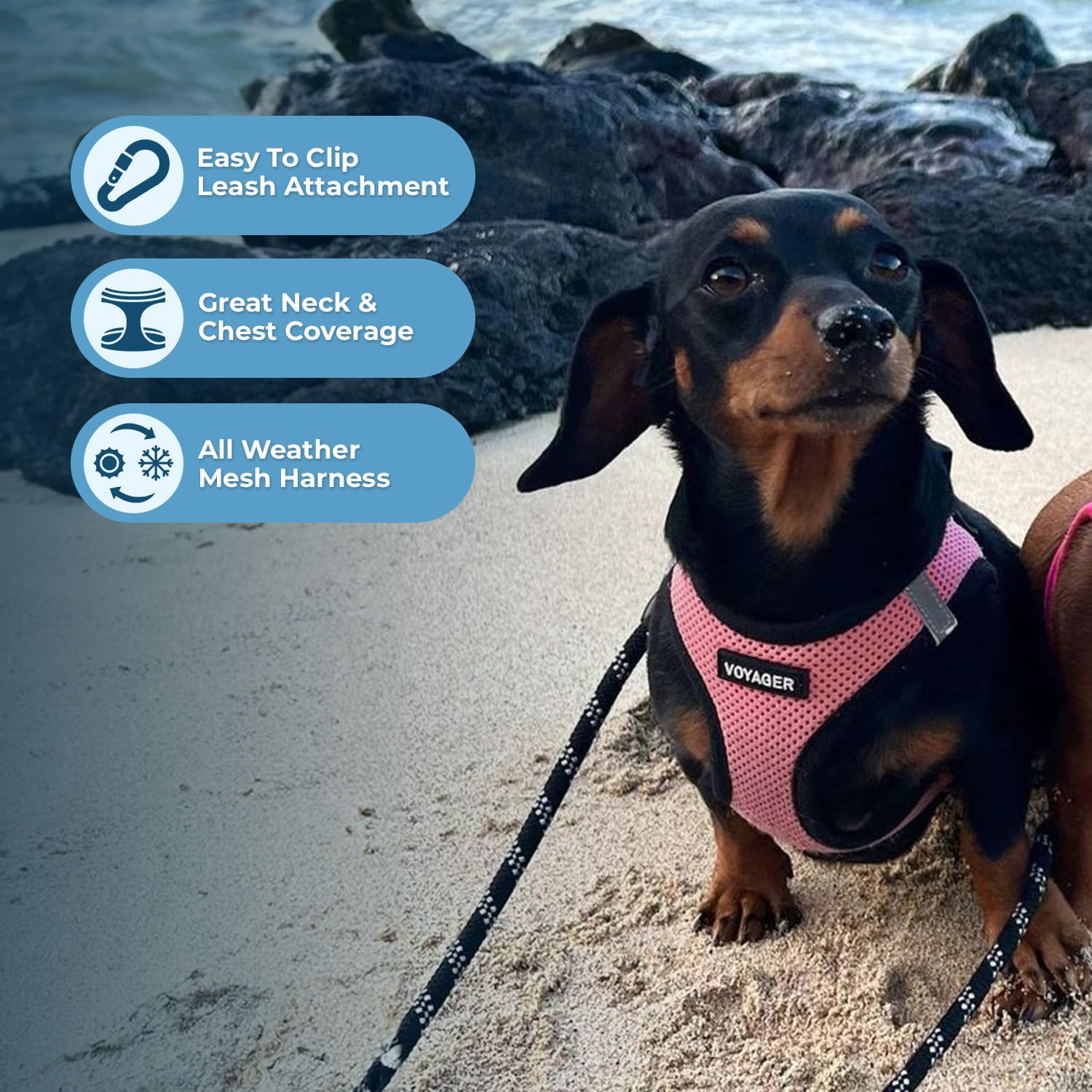 Foto 6 pulgar | Arnés Para Perros Best Pet Supplies Voyager Step-in Air Pink Xs - Venta Internacional.