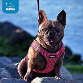 Foto 7 | Arnés Best Pet Supplies, Malla Reflectante Para Todo Clima, Fucsia - Venta Internacional.