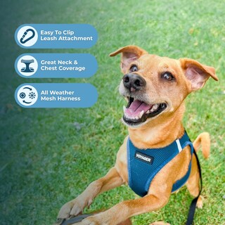 Foto 2 | Malla Harness Best Pet Supplies Para Todo Tipo De Clima Para Pequeñas Y Medianas - Venta Internacional.