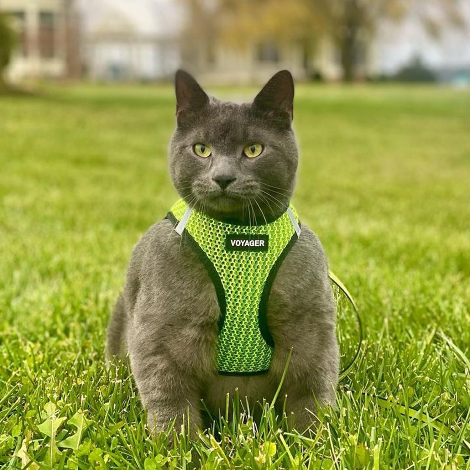Foto 8 pulgar | Malla Harness Best Pet Supplies Para Todo Tipo De Clima Para Perros Y Gatos Pequeños Y Medianos - Venta Internacional.