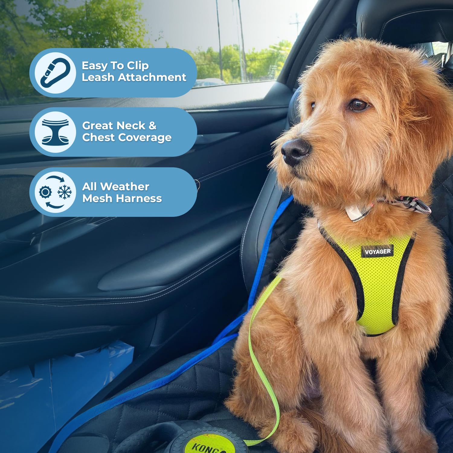Foto 3 pulgar | Malla Harness Best Pet Supplies Para Todo Tipo De Clima Para Perros Y Gatos Pequeños Y Medianos - Venta Internacional.