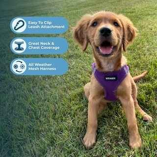 Foto 2 | Arnés Para Perros Best Pet Supplies Voyager Step-in Air Purple Xs - Venta Internacional.