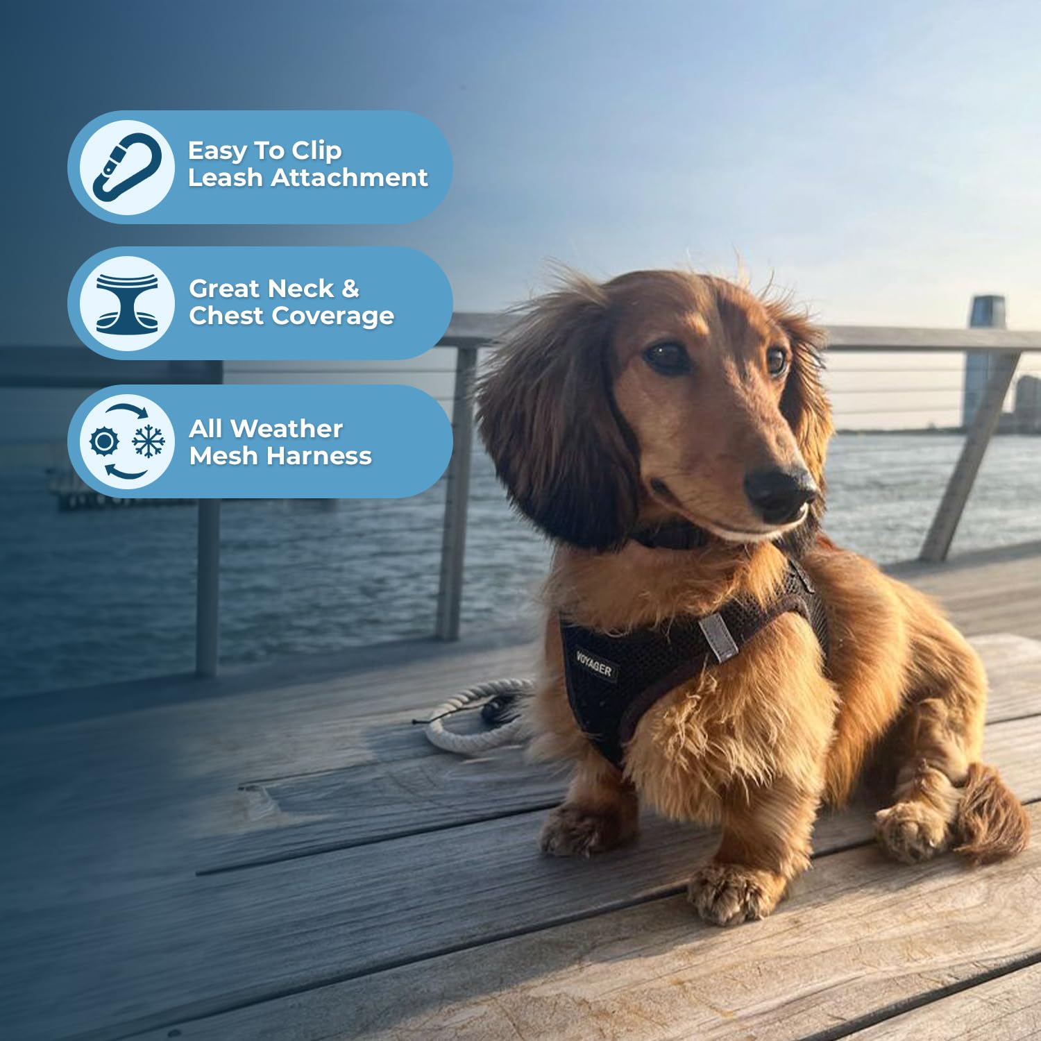 Foto 2 | Arnés Para Perros Best Pet Supplies Voyager Step-in Air Black M - Venta Internacional.
