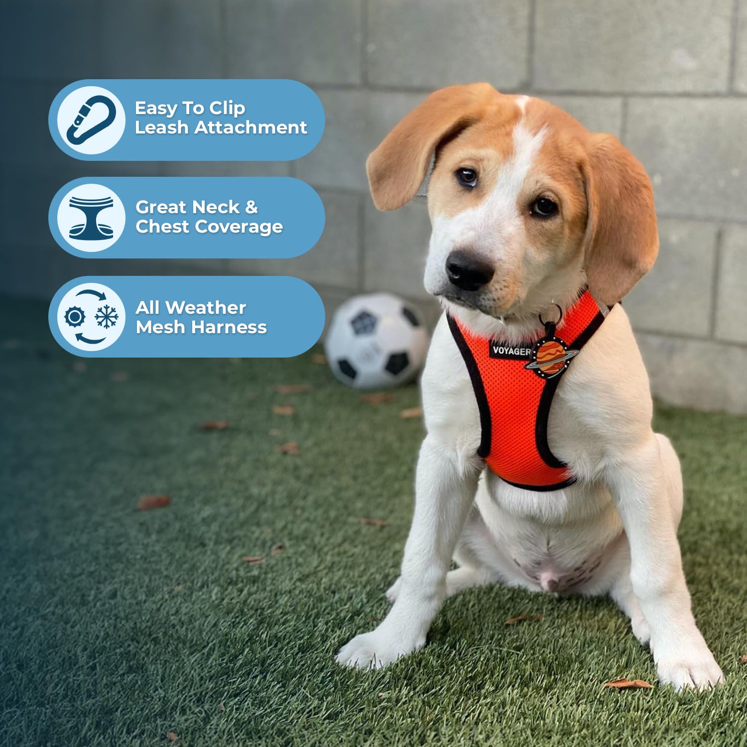 Foto 3 pulgar | Arnés Para Mascotas, Los Mejores Suministros Para Mascotas, Malla Para Todo Clima - Venta Internacional.