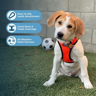 Foto 2 | Arnés Para Mascotas, Los Mejores Suministros Para Mascotas, Malla Para Todo Clima - Venta Internacional.