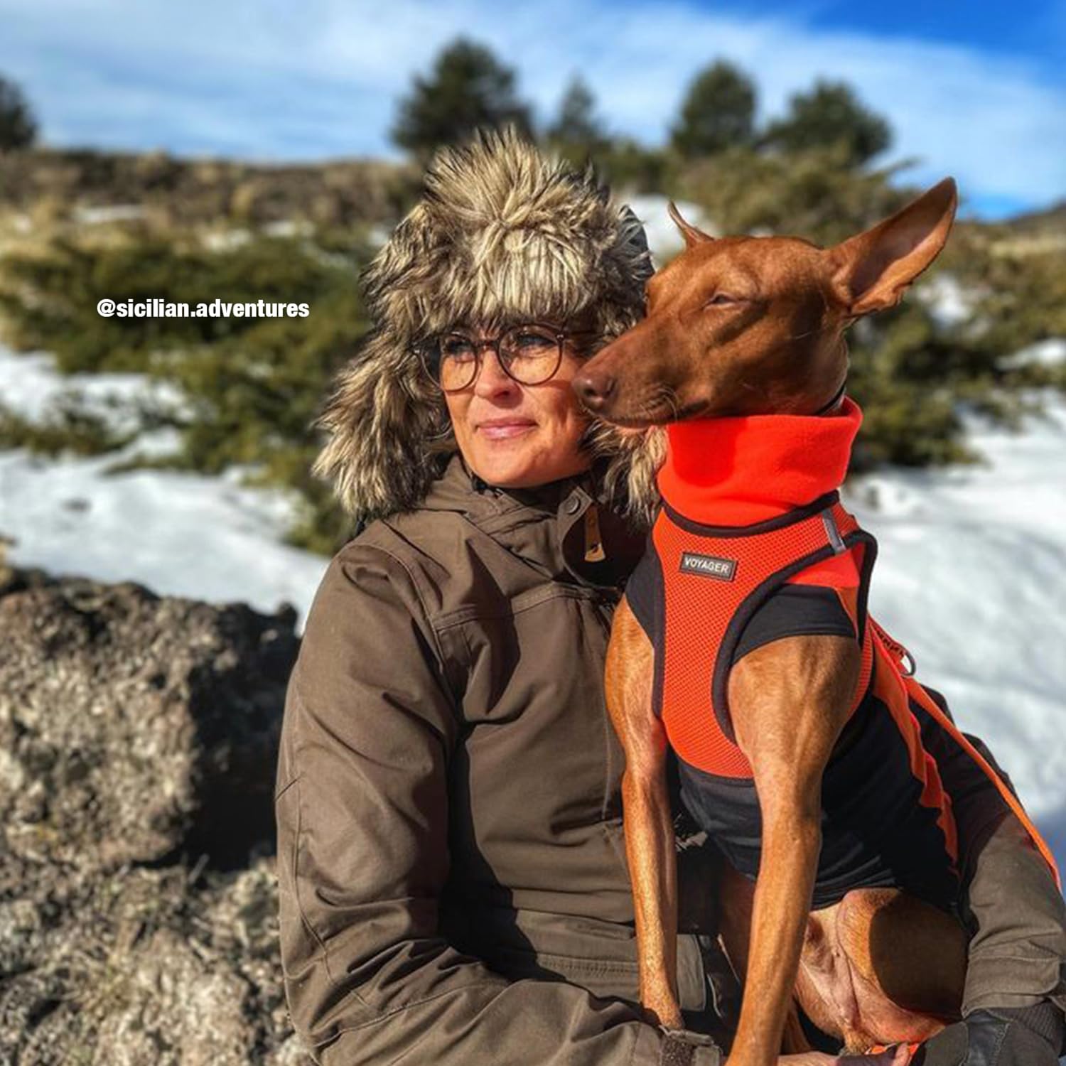 Foto 7 pulgar | Arnés Para Mascotas, Los Mejores Suministros Para Mascotas, Malla Para Todo Clima - Venta Internacional.