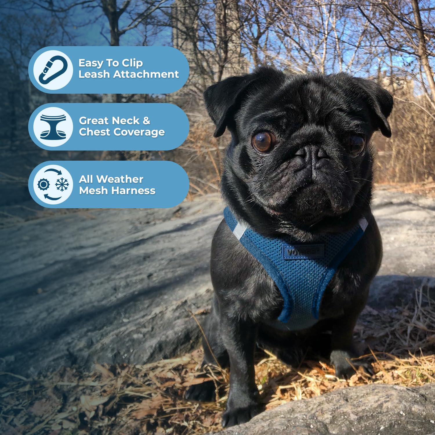 Foto 3 pulgar | Arnés Para Perros Best Pet Supplies Voyager Step-in Air Blue Xxs - Venta Internacional.