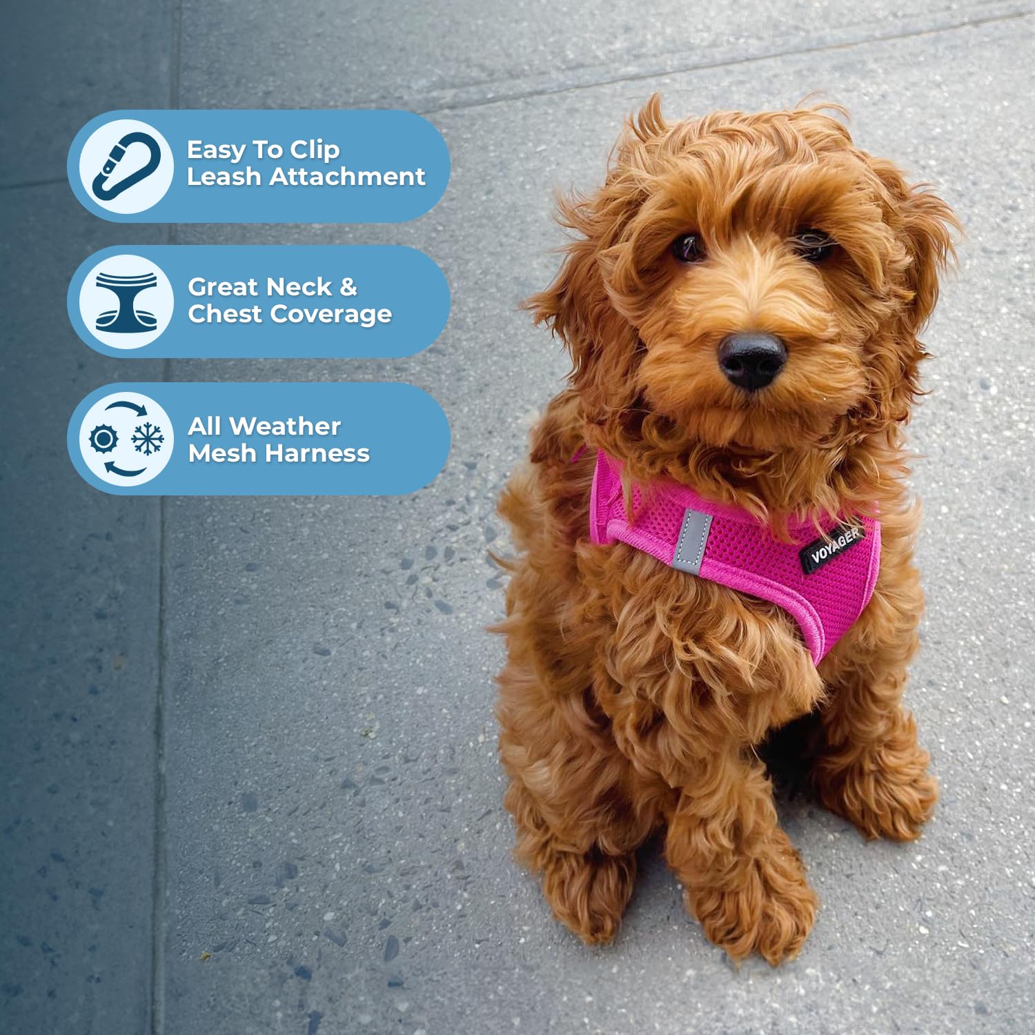 Foto 3 pulgar | Arnés Para Perros Best Pet Supplies Voyager Step-in Air Fuchsia L - Venta Internacional.