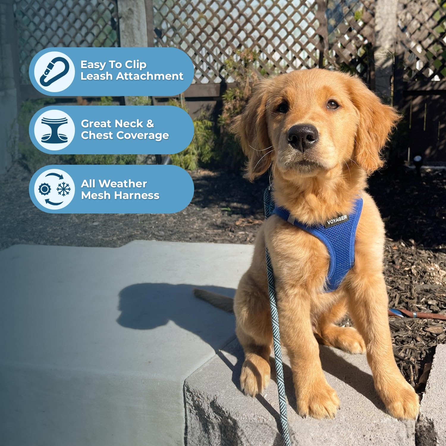 Foto 2 | Arnés Para Perros Best Pet Supplies Voyager Step-in Air Blue Xs - Venta Internacional.