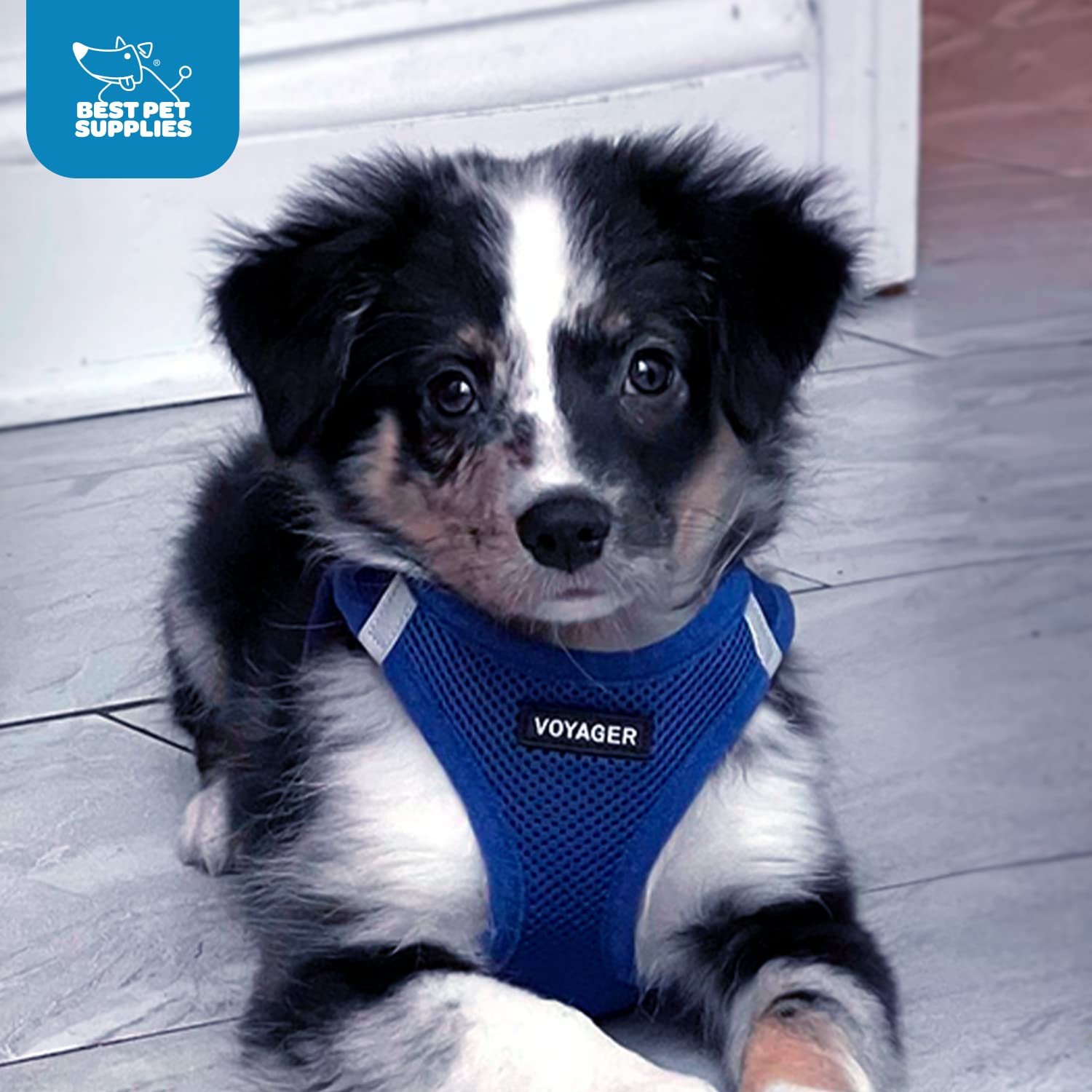 Foto 8 pulgar | Arnés Para Perros Best Pet Supplies Voyager Step-in Air Blue Xs - Venta Internacional.