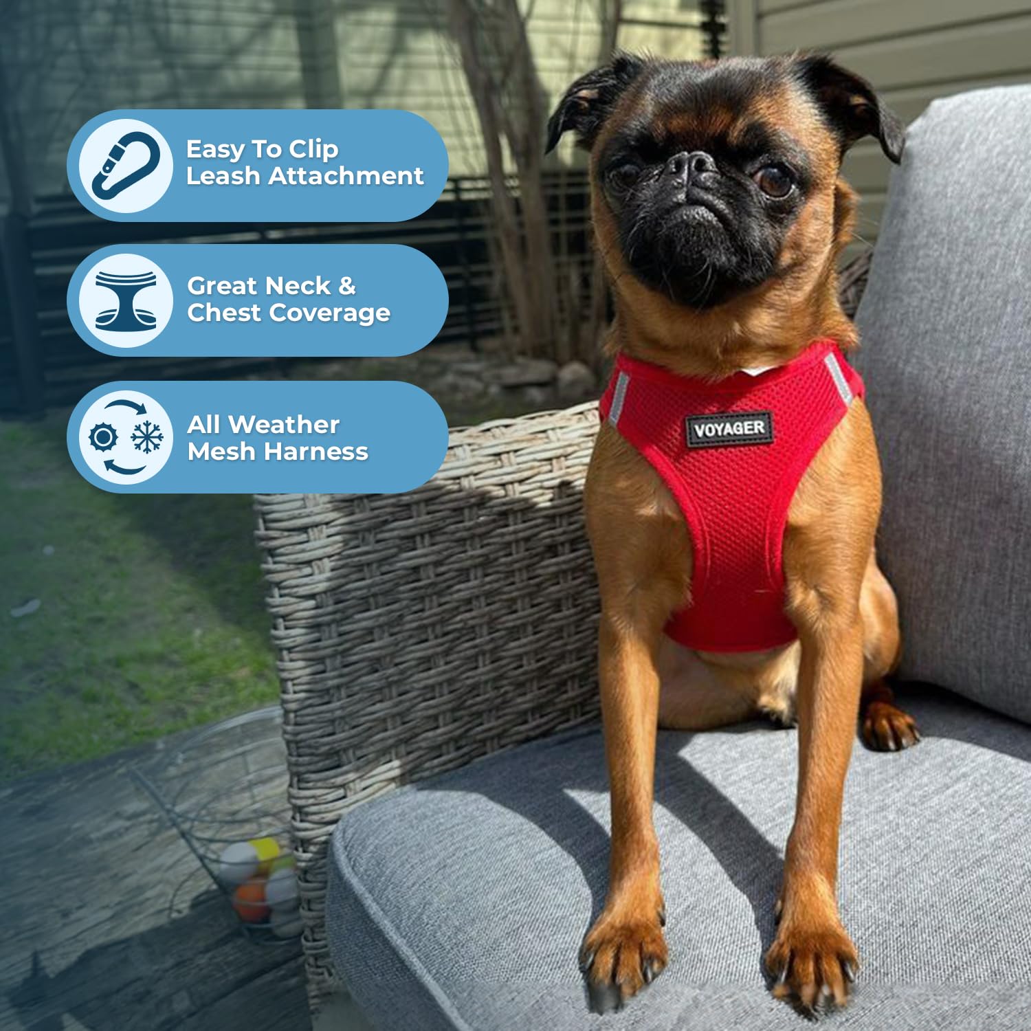 Foto 3 pulgar | Arnés Para Perros Best Pet Supplies Voyager Step-in Air Red Xxs - Venta Internacional.