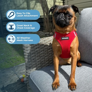 Foto 2 | Arnés Para Perros Best Pet Supplies Voyager Step-in Air Red Xxs - Venta Internacional.