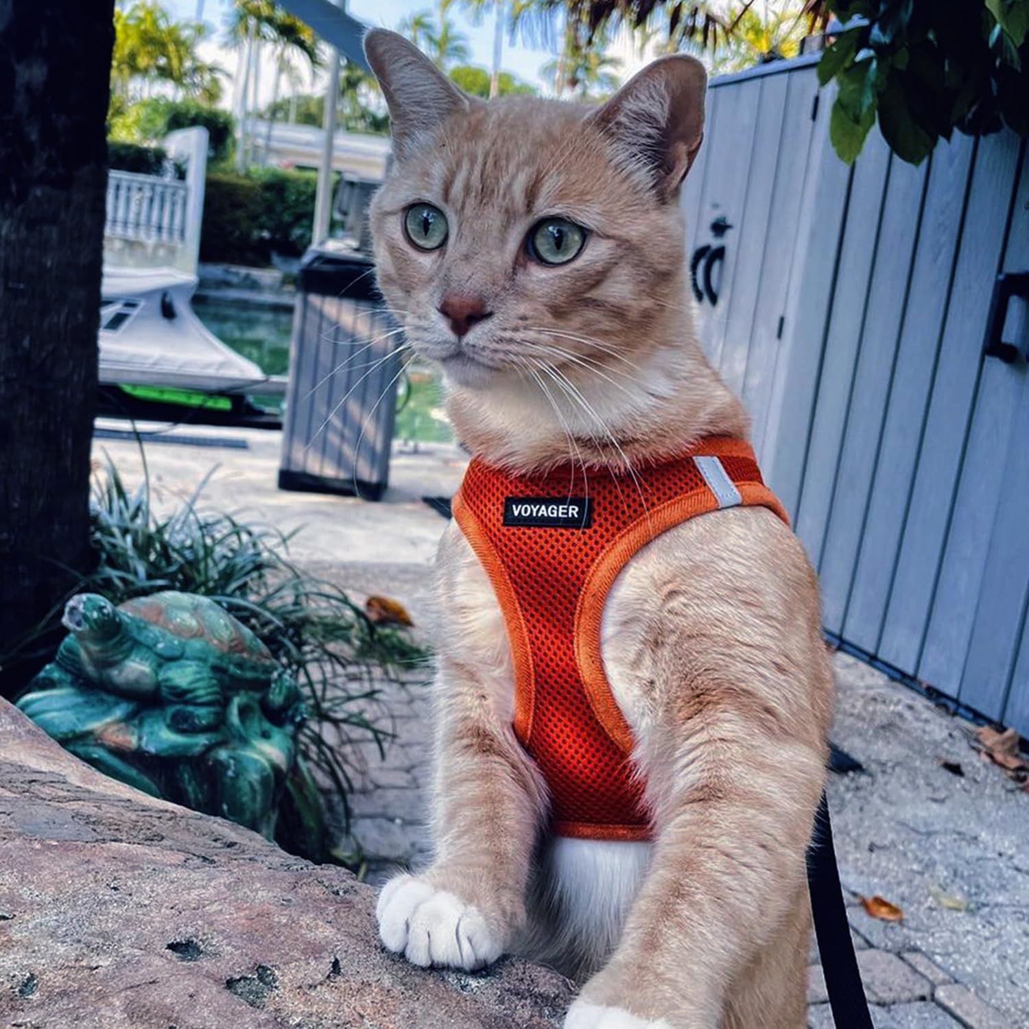 Foto 7 | Arnés Para Perros Best Pet Supplies Voyager Step-in Air Orange Xs - Venta Internacional.