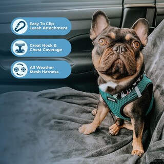 Foto 2 | Harness Best Pet Supplies, Malla Reflectante, Turquesa, 2 Tonos, Talla L - Venta Internacional.