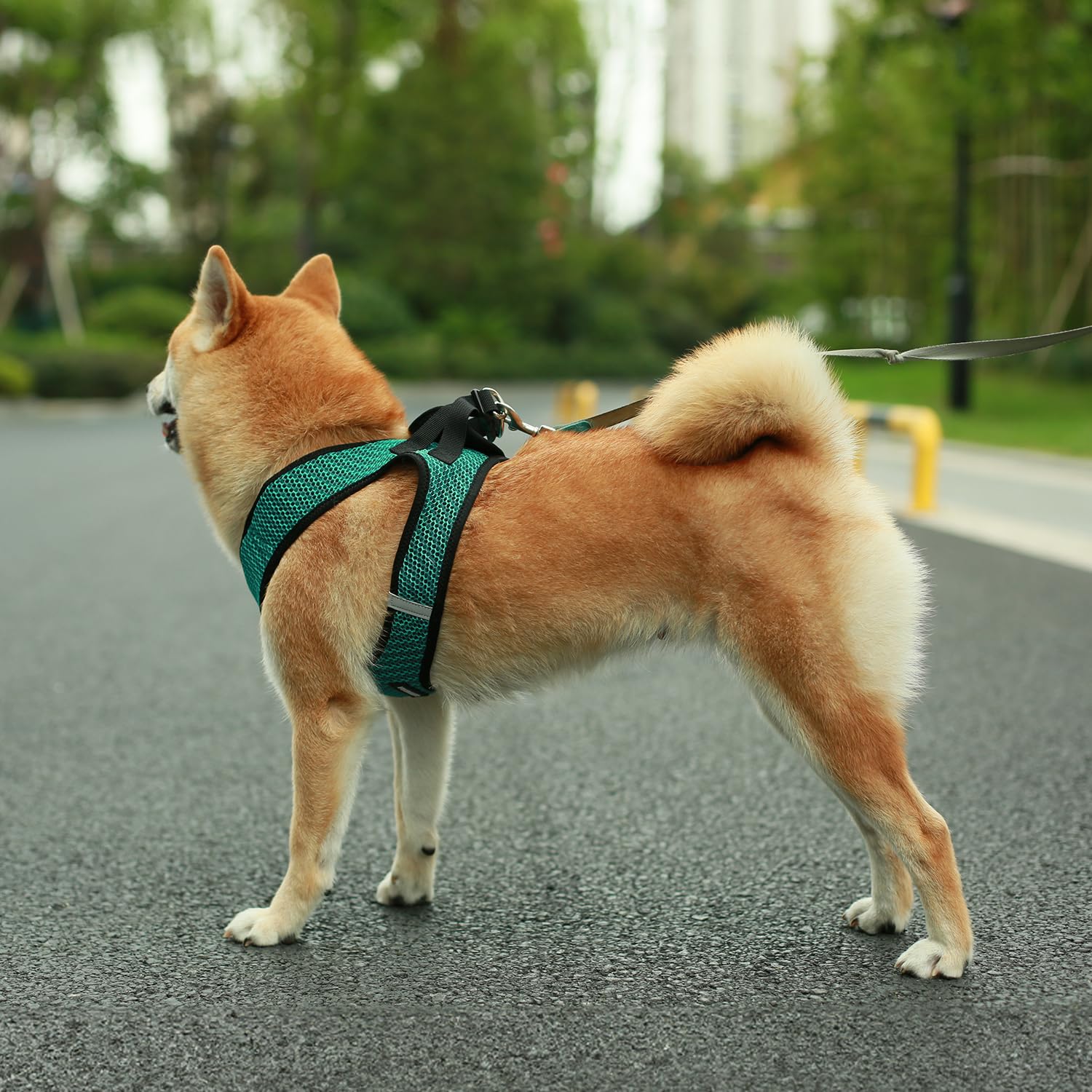 Foto 6 | Harness Best Pet Supplies, Malla Reflectante, Turquesa, 2 Tonos, Talla L - Venta Internacional.