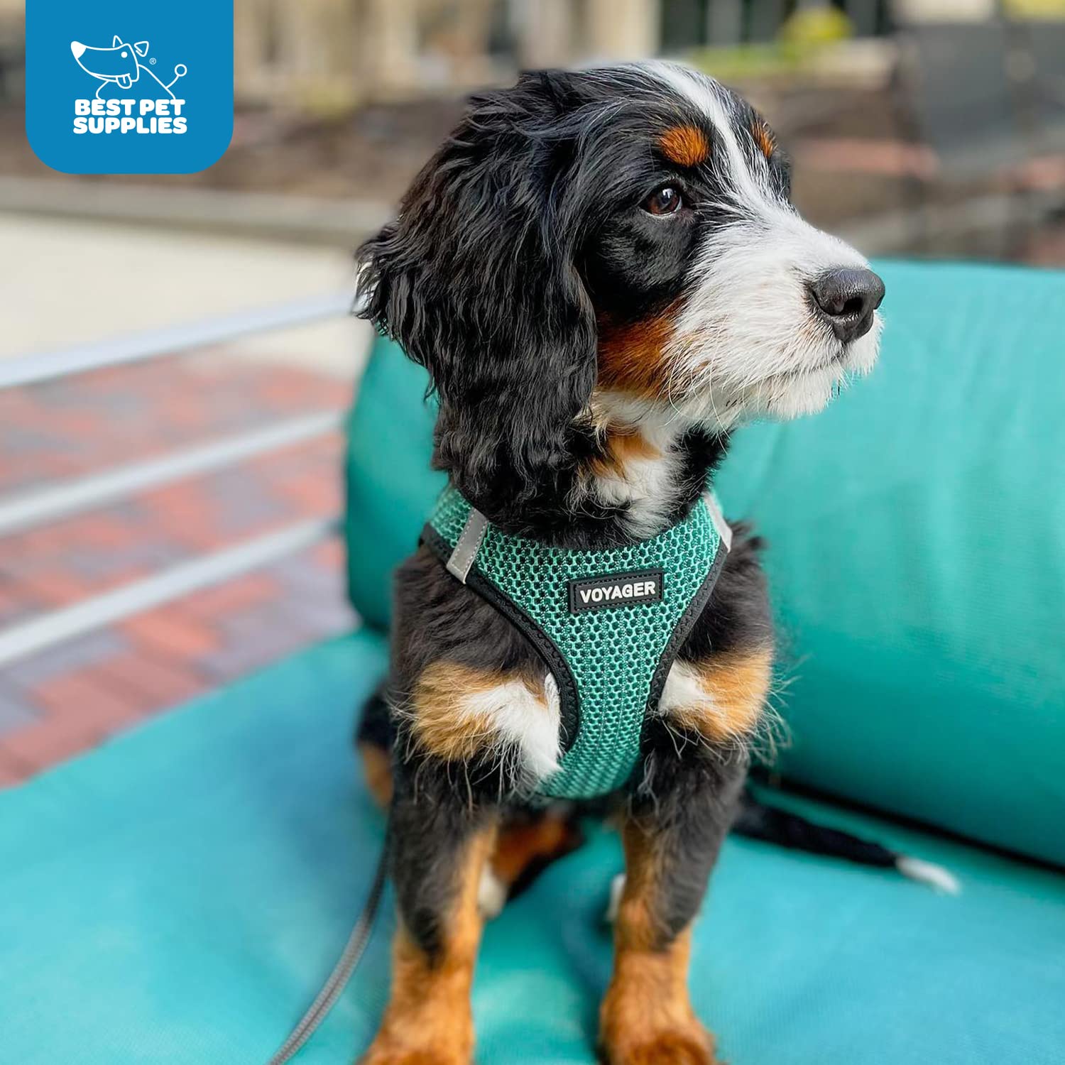 Foto 7 | Harness Best Pet Supplies, Malla Reflectante, Turquesa, 2 Tonos, Talla L - Venta Internacional.