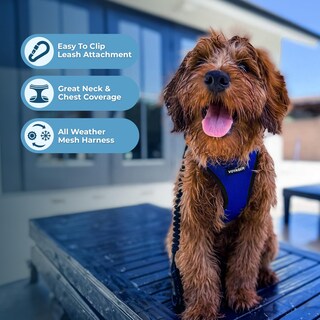 Foto 2 | Arnés Best Pet Supplies, Malla Reflectante Para Todo Clima, Azul L - Venta Internacional.