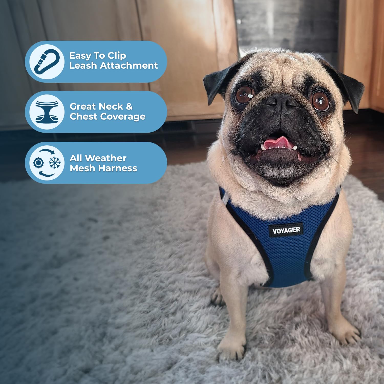Foto 3 pulgar | Malla Harness Best Pet Supplies Para Todo Tipo De Clima Para Perros Pequeños Xxs - Venta Internacional.