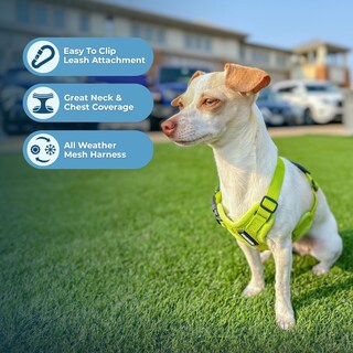 Foto 2 | Arnés Best Pet Supplies, Malla Reflectante Para Todo Tipo De Clima, L - Venta Internacional.