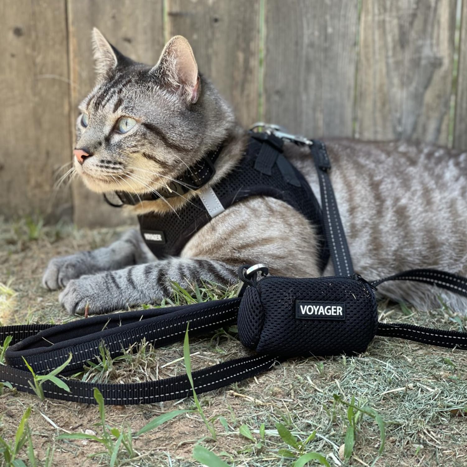 Foto 6 | Arnés Para Perros Voyager Step-in Air All Weather Negro Xxxs - Venta Internacional.
