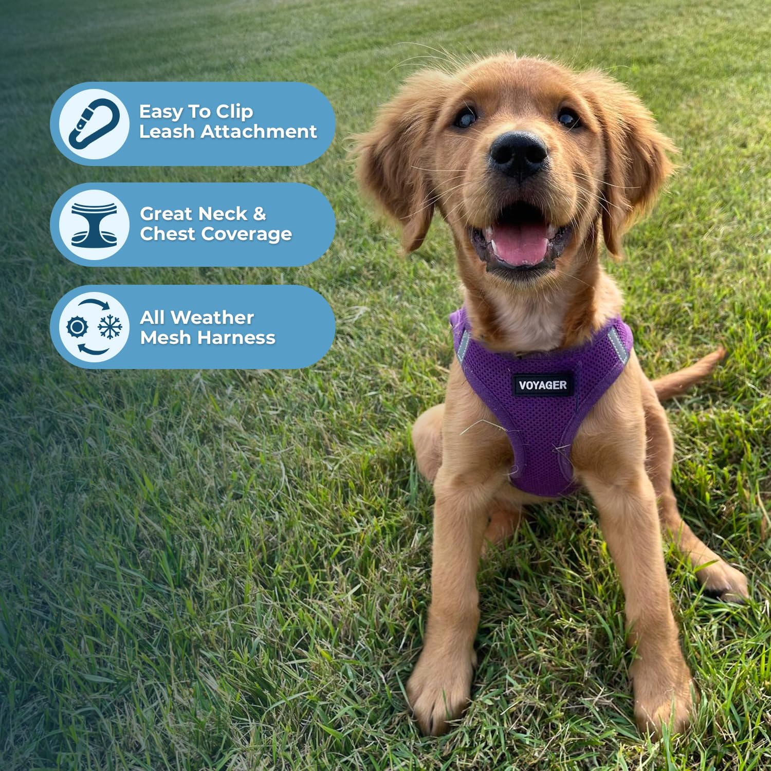 Foto 3 pulgar | Arnés Para Perros Best Pet Supplies Voyager Step-in Air Purple L - Venta Internacional.