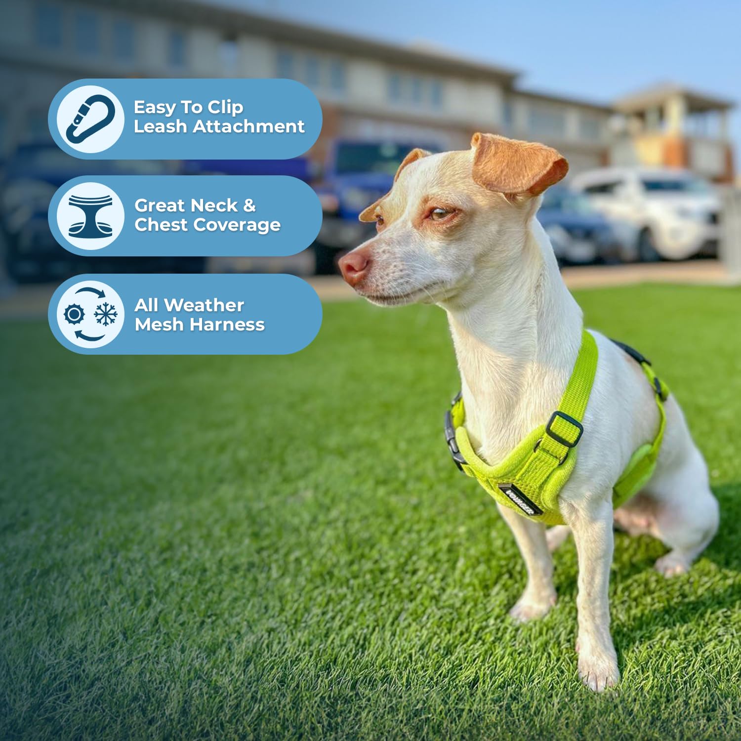 Foto 2 | Arnés Para Mascotas, Los Mejores Suministros Para Mascotas, Malla Para Todo Clima - Venta Internacional.