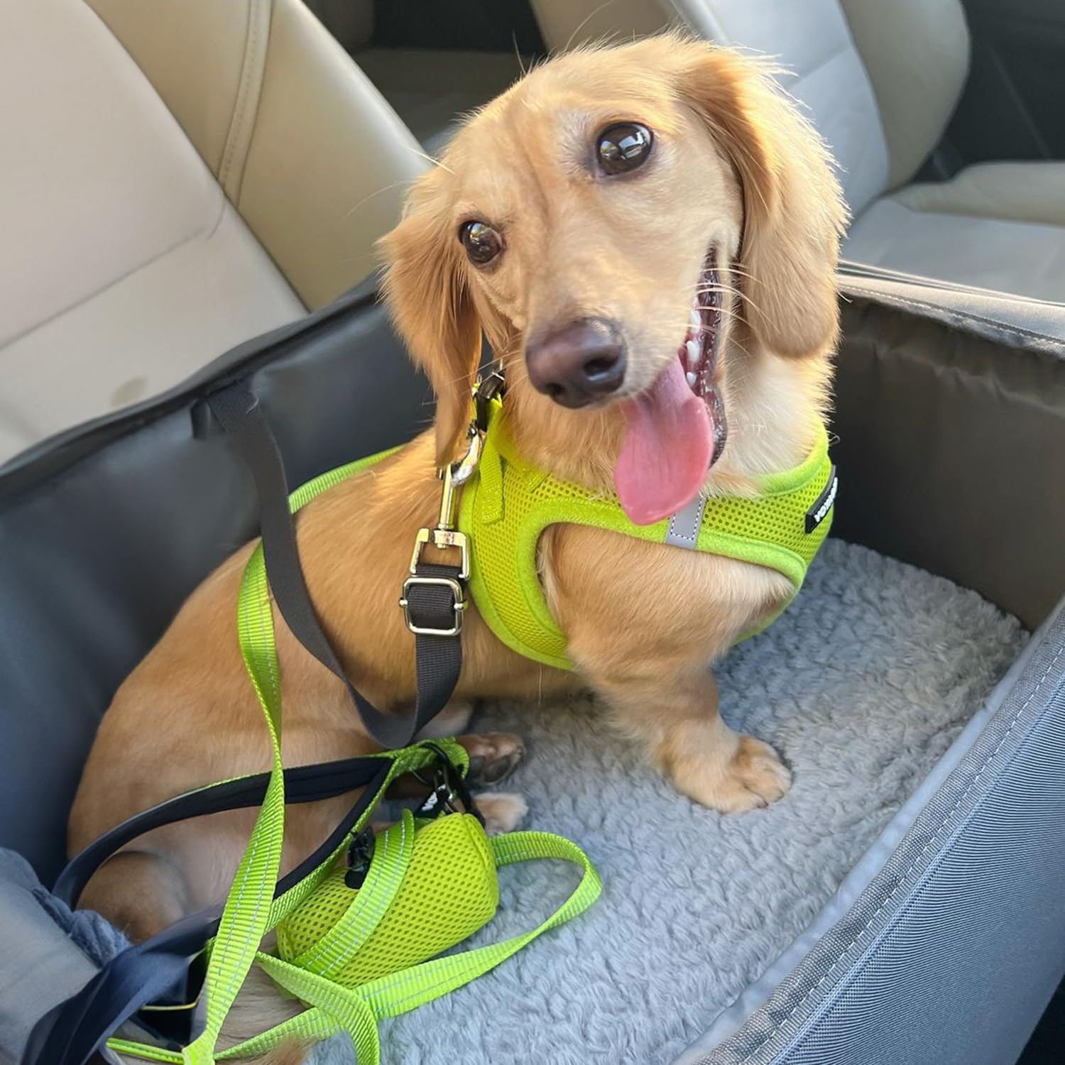 Foto 7 pulgar | Arnés Para Mascotas, Los Mejores Suministros Para Mascotas, Malla Para Todo Clima - Venta Internacional.