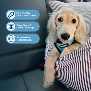 Foto 2 | Malla Harness Best Pet Supplies Para Todo Tipo De Clima Para Perros Pequeños Xs - Venta Internacional.