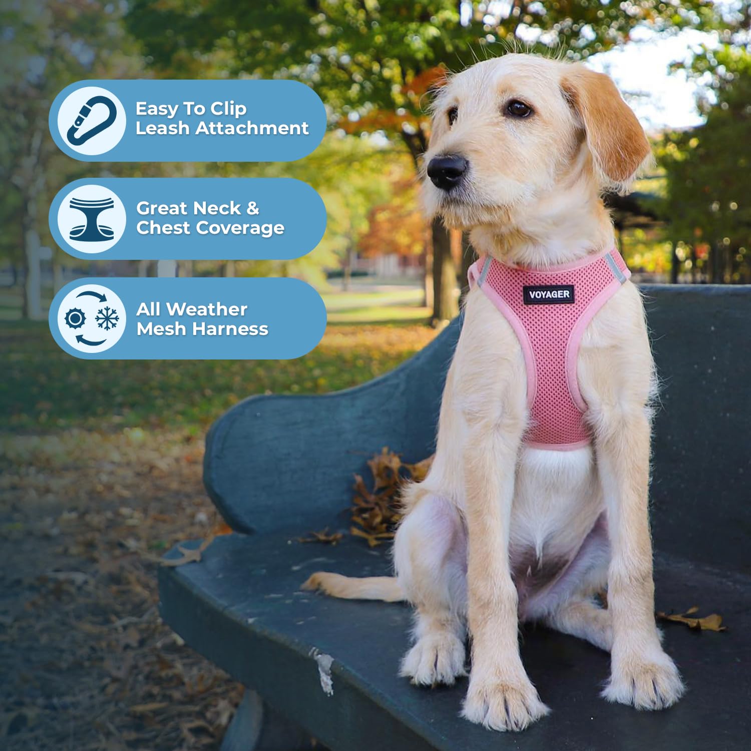 Foto 2 | Arnés Para Perros Best Pet Supplies Voyager Step-in Air Pink Xs - Venta Internacional.