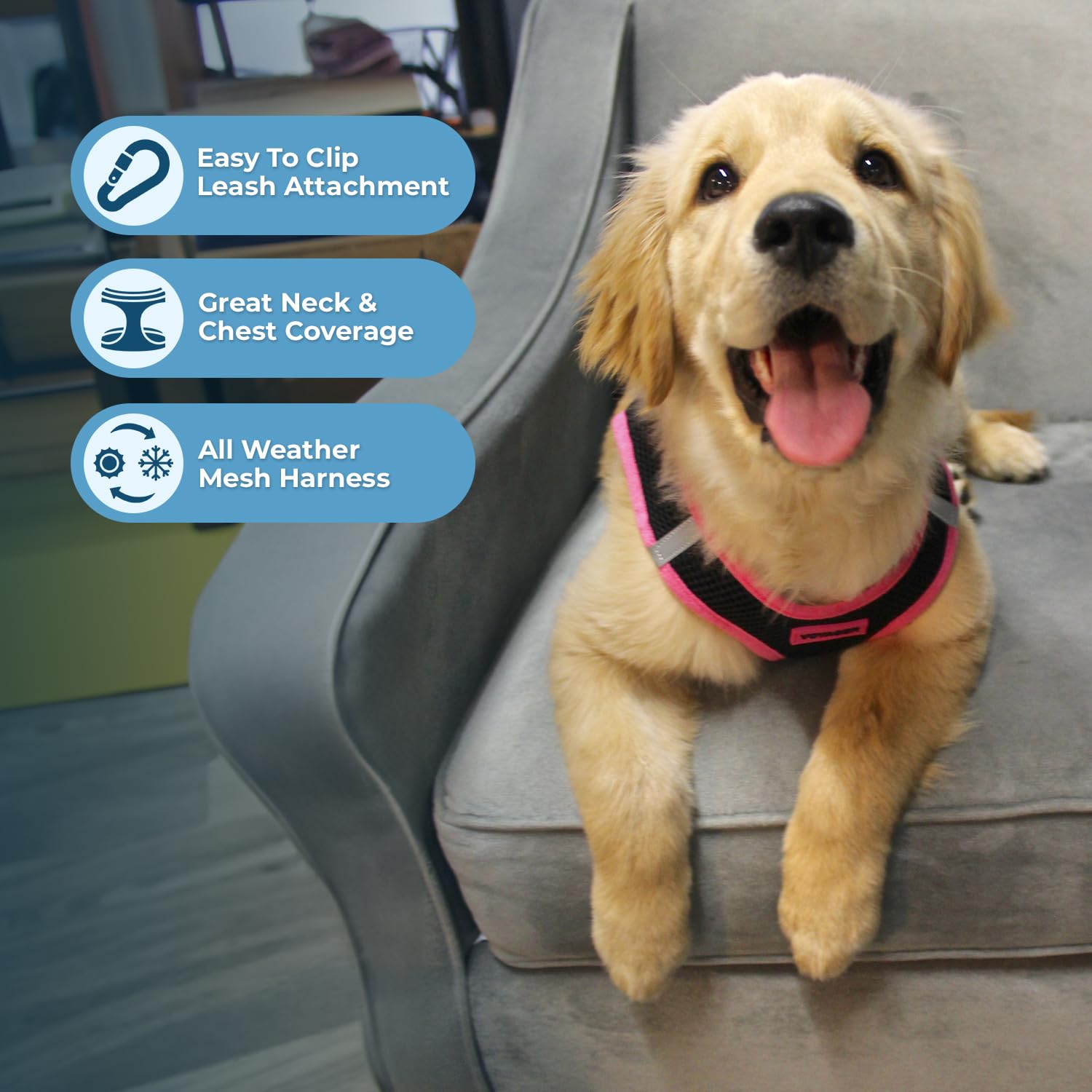 Foto 3 pulgar | Arnés Best Pet Supplie para Perros y Gatos Pequeños a Medianos - Venta Internacional
