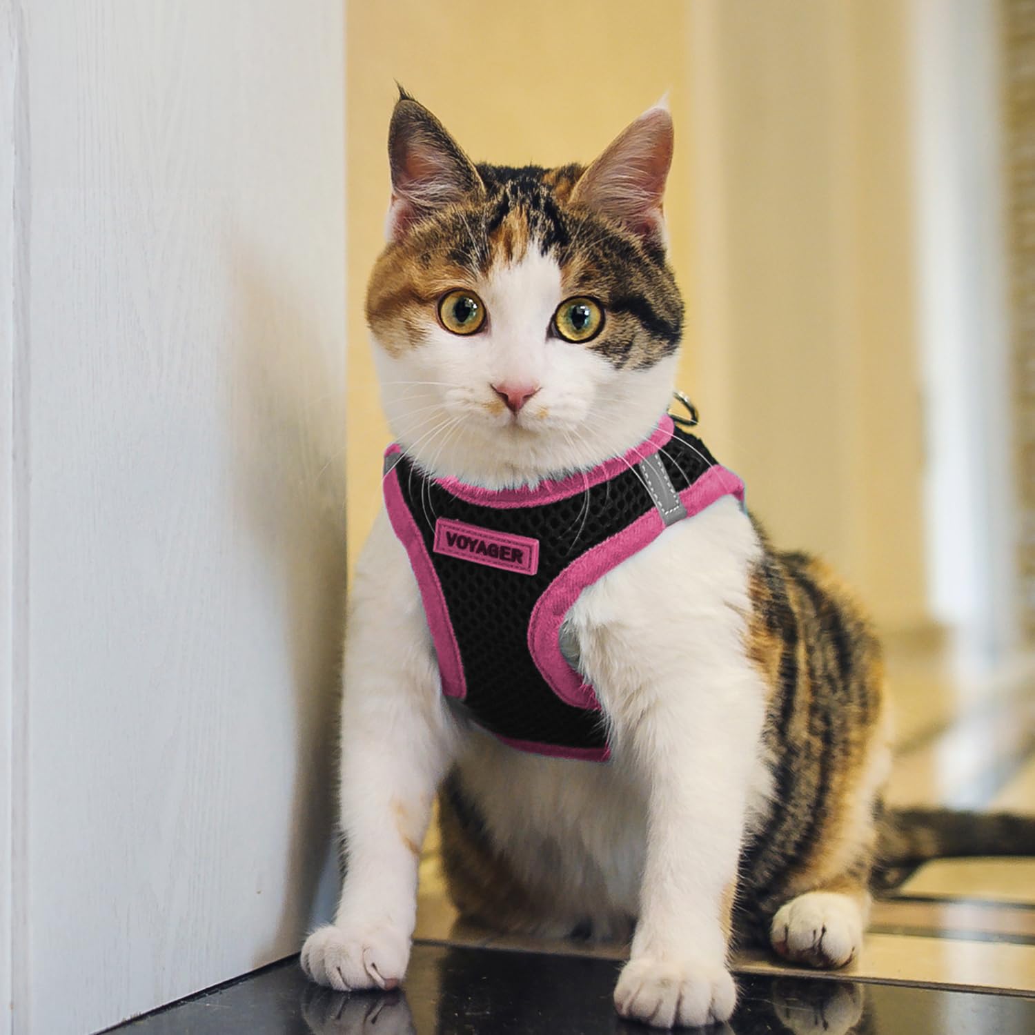Foto 8 pulgar | Arnés Best Pet Supplie para Perros y Gatos Pequeños a Medianos - Venta Internacional