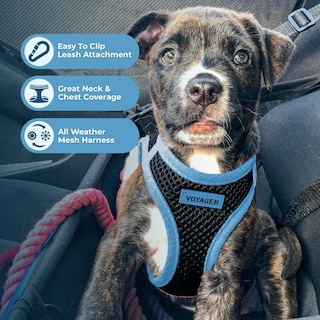 Foto 2 | Arnés Voyager Best Pet Supplies para Perros y Gatos Pequeños a Medianos - Venta Internacional